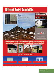 Síða 41