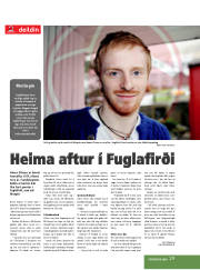 Síða 29