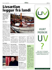 Síða 21