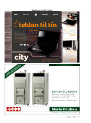 Síða 1