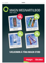 Síða 3