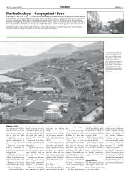 Síða 11