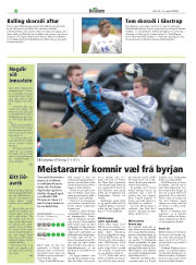 Síða 22