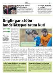 Síða 25