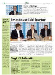 Síða 30