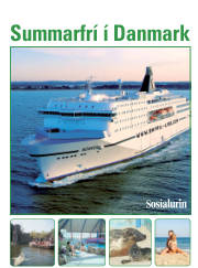 Síða 1
