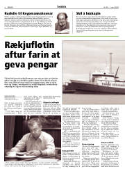 Síða 8