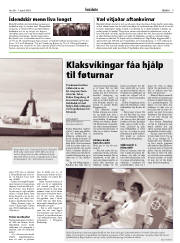 Síða 9