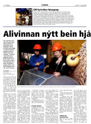 Síða 30