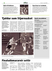 Síða 36