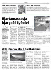 Síða 6