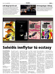 Síða 3
