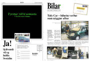 Síða 7