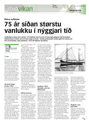 Síða 11