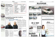 Síða 8