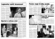 Síða 3