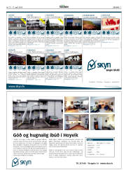 Síða 17