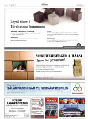 Síða 27