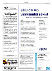 Síða 31