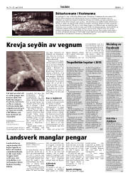 Síða 5