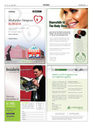 Síða 25