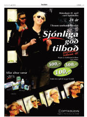 Síða 29