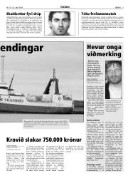 Síða 9
