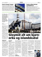 Síða 13