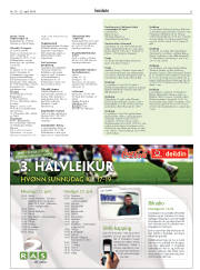 Síða 31