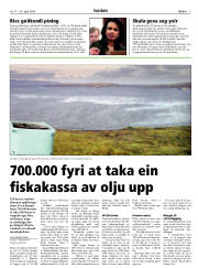 Síða 5