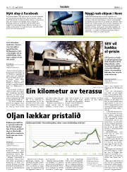 Síða 13