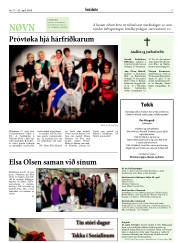 Síða 17