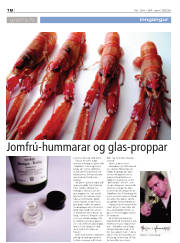 Síða 18