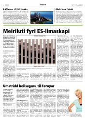 Síða 8