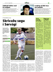 Síða 17