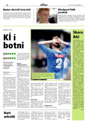 Síða 20