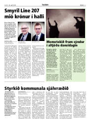 Síða 13