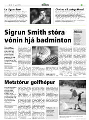 Síða 17