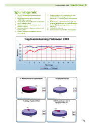 Síða 3