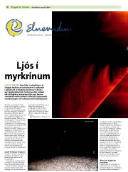 Síða 8
