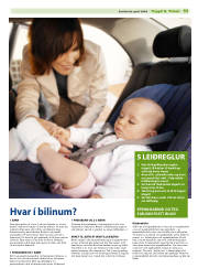 Síða 11
