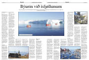 Síða 11