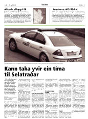 Síða 11