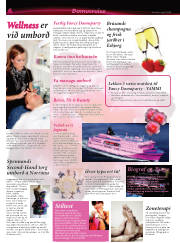 Síða 22