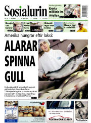 Síða 1