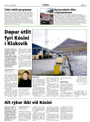 Síða 13