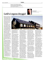 Síða 17