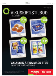 Síða 4