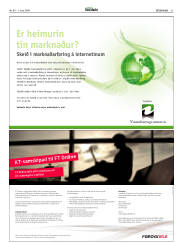 Síða 21