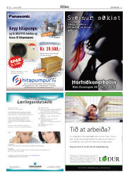 Síða 31